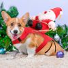 Pet Christmas Costumes Red Winter Coat for Dog Riding Santa Claus with Bell Clothes New Year Outfit Cosplay Costumes Party Dress Up For Cats