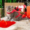 Pet Christmas Costumes Red Winter Coat for Dog Riding Santa Claus with Bell Clothes New Year Outfit Cosplay Costumes Party Dress Up For Cats