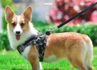 Dog Reflectorized Harness Set Dragon Pattern Safety Vest Adjustable Harness Pet Training Accessories